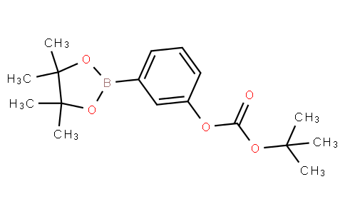 tert-butyl [3-(4,4,5,5-tetramethyl-1,3,2-dioxaborolan-2-yl)phenyl] carbonate