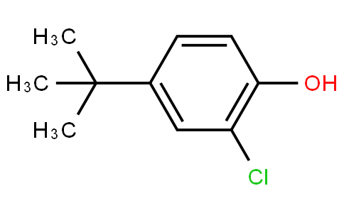 4-TERT-BUTYL-2-CHLOROPHENOL
