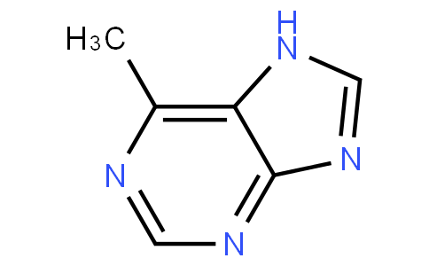 6-methylpurine
