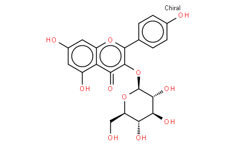 kaempferol 3-O-glucoside