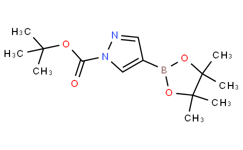 1-Boc-4-pyrazoleboronic Acid Pinacol Ester