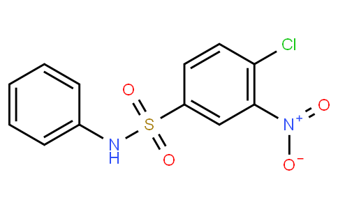 4-氯-3-硝基-N-苯基苯磺酰胺