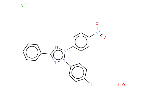 iodonitrotetrazolium chloride