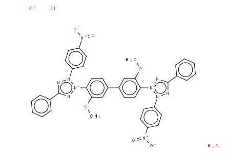 nitro blue tetrazolium dichloride